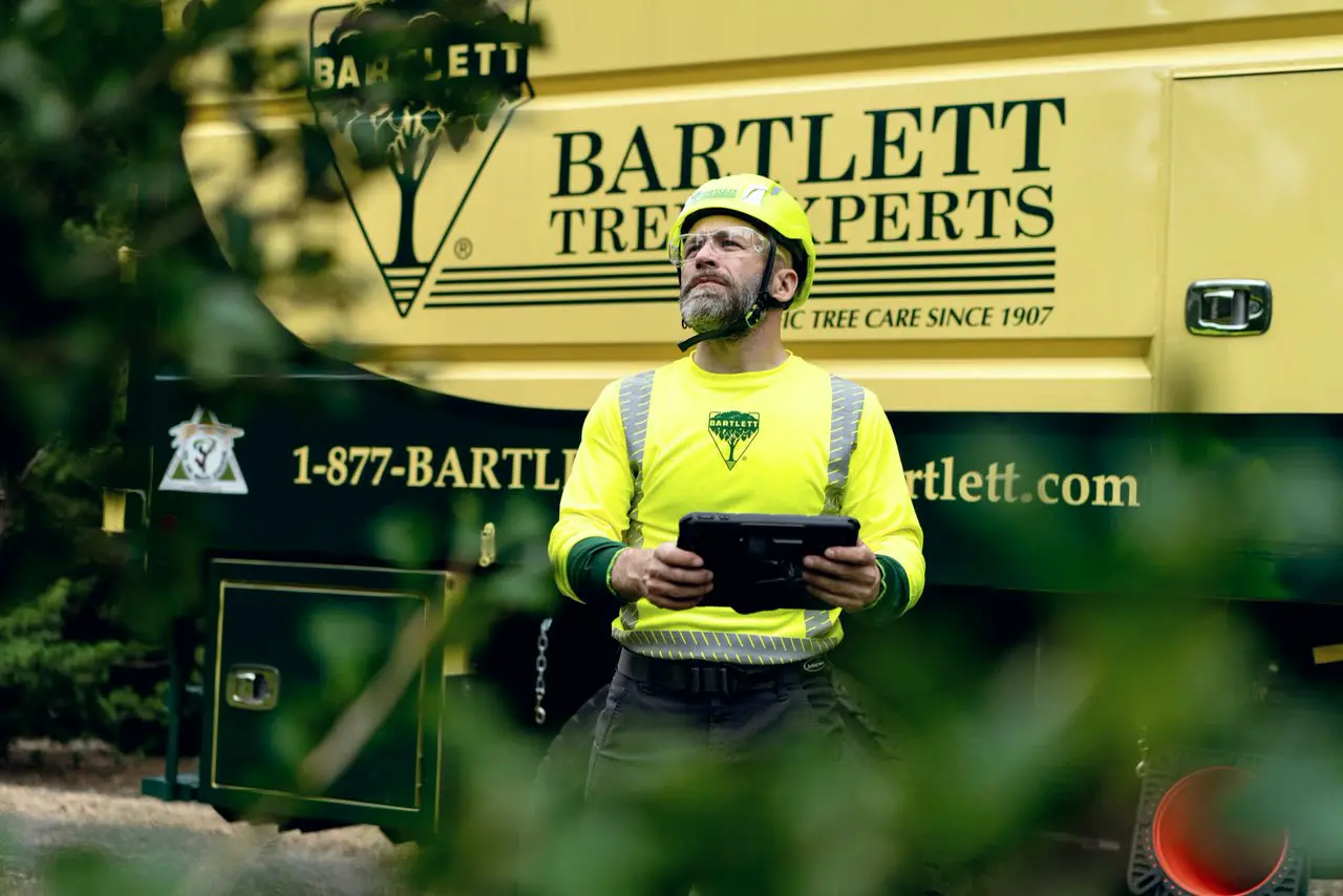 Bartlett arborist with a tablet in front of a branded Bartlett truck