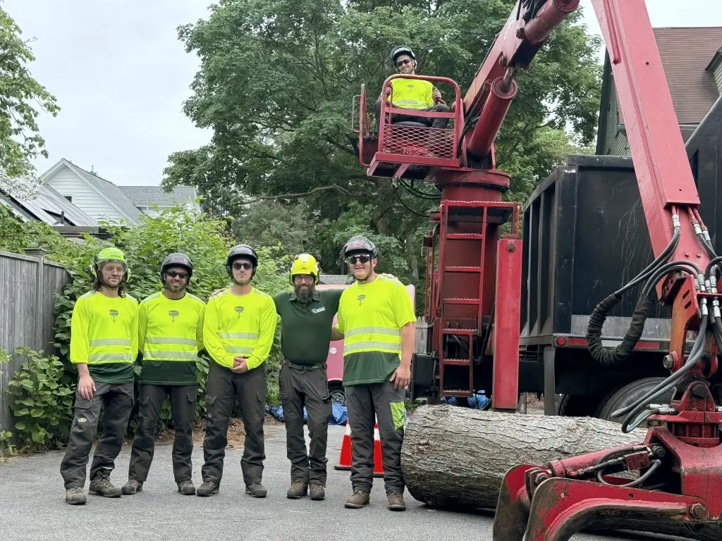 Bartlett crew in high-visibility shirts beside a log loader, one climber up in the bucket