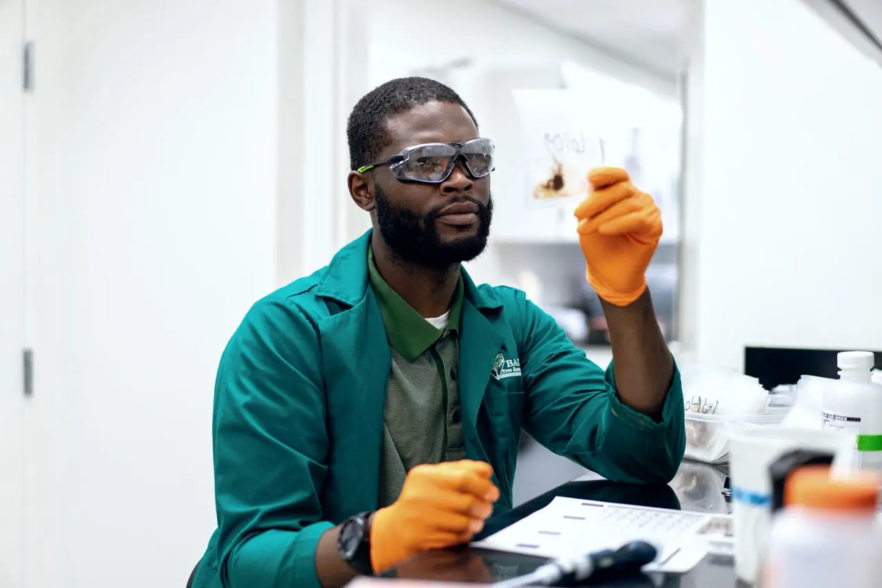 Researcher in the Bartlett lab examining a sample slide